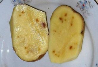 Описание основных болезней картофеля